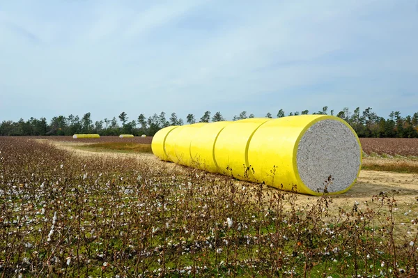 Cotton Bales